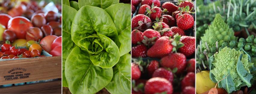 10986827_765554496862809_8883060296208705188_n