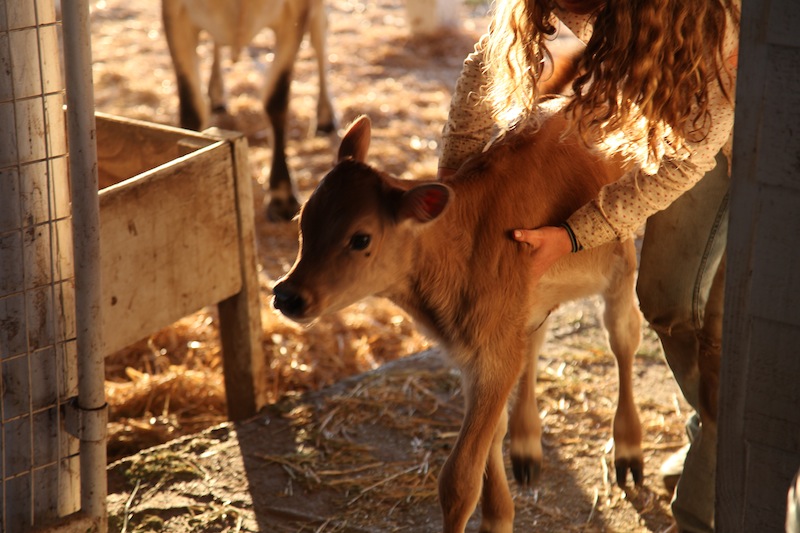 314144_924810321035_1329612250_n