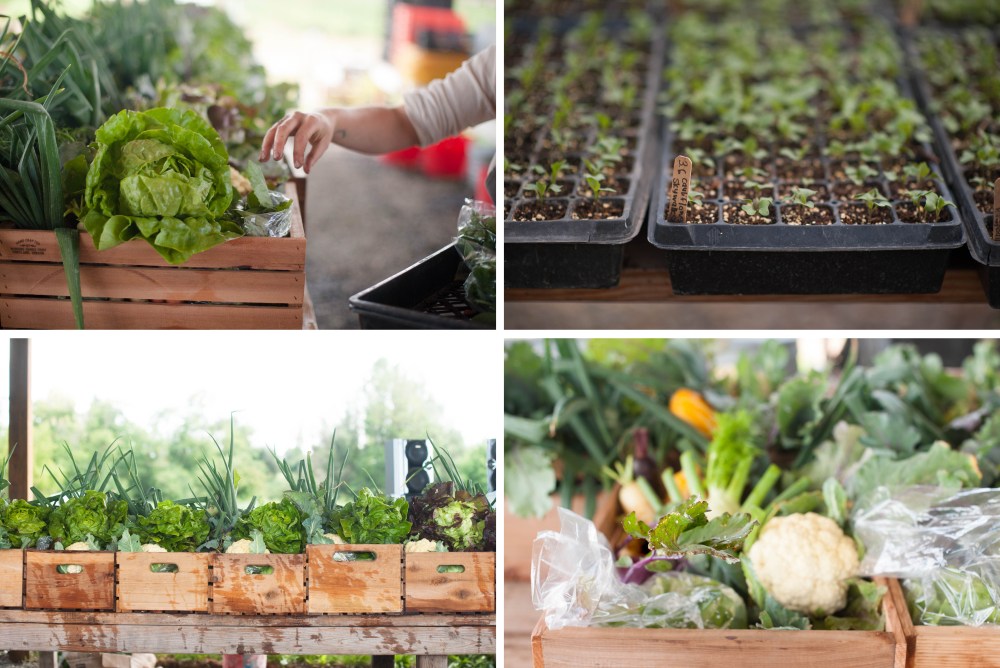 working_hands_2014_merged7