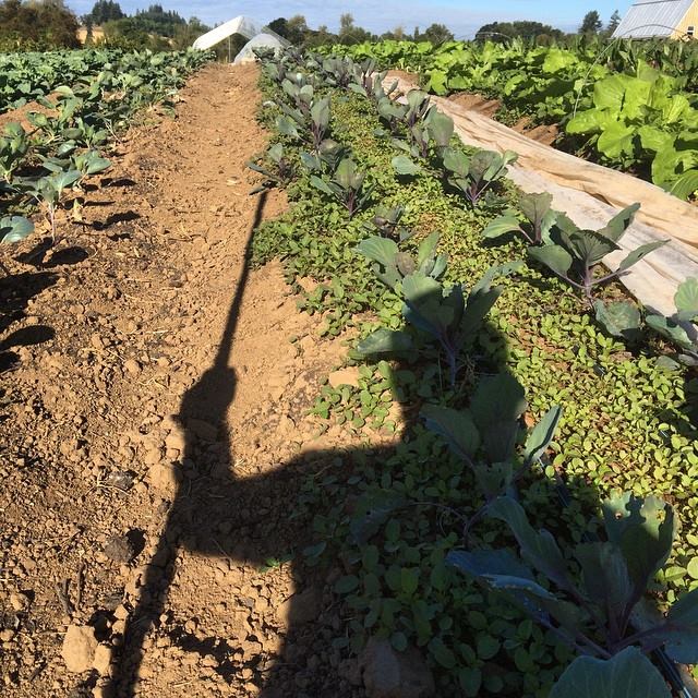 10636299_674882389263354_6424410709401073965_n