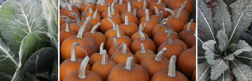 collardspumpkinskale