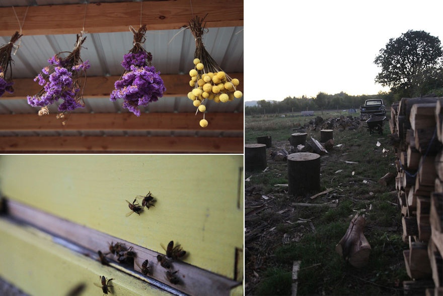 flowersbeeswood copy