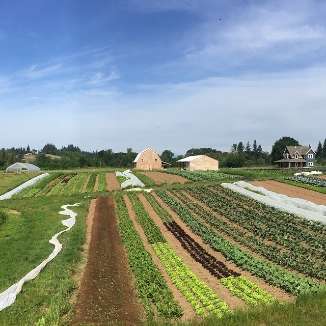 10429346_809926675758924_5826187291950441313_n