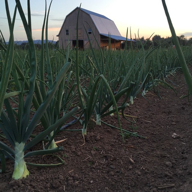 10985934_810182122400046_4953735947233425222_n