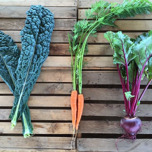 11143103_807597589325166_6784191277085831003_n