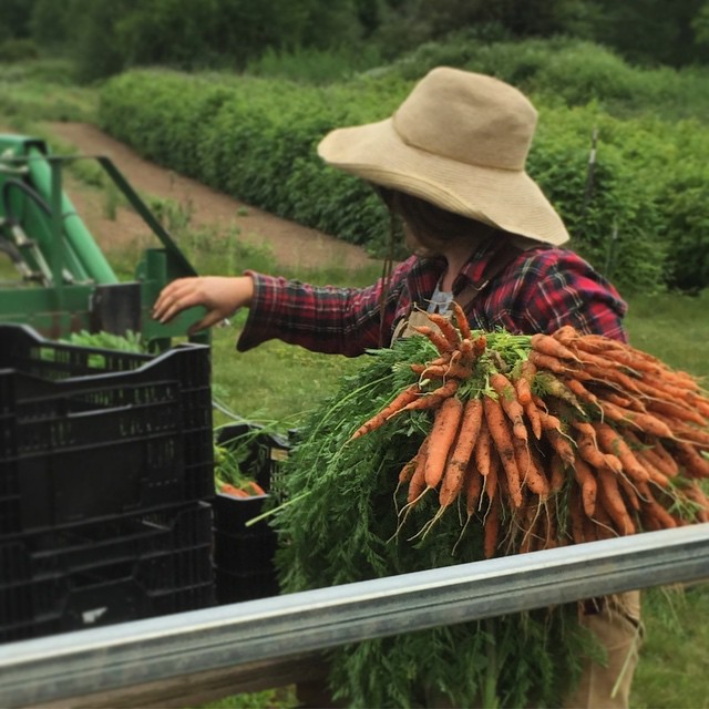 11350437_807172966034295_1161300348939754989_n