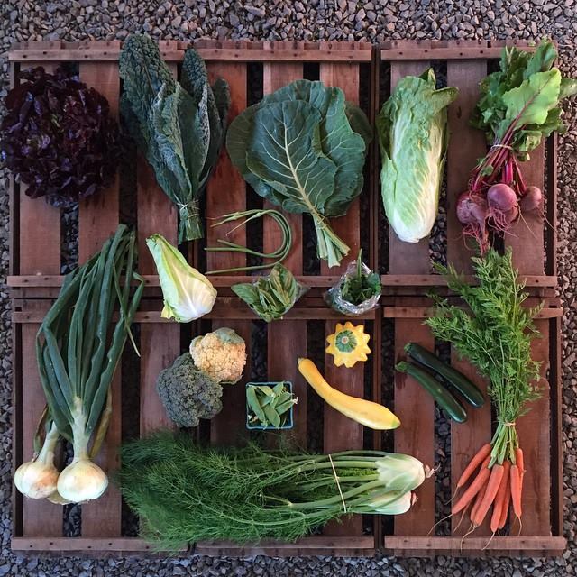 1619487_821318221286436_8264499435251064483_n