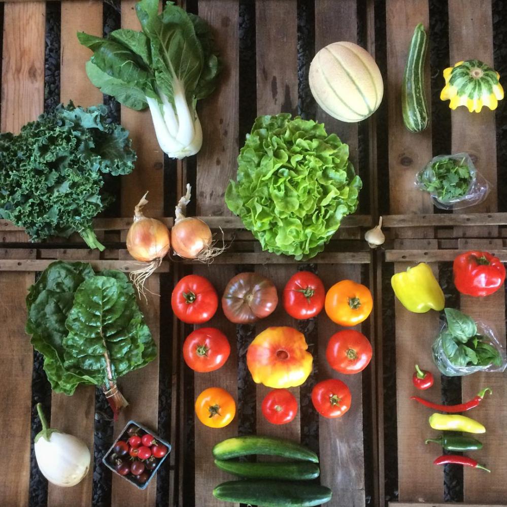 11864970_849438878474370_7183426352527729169_o