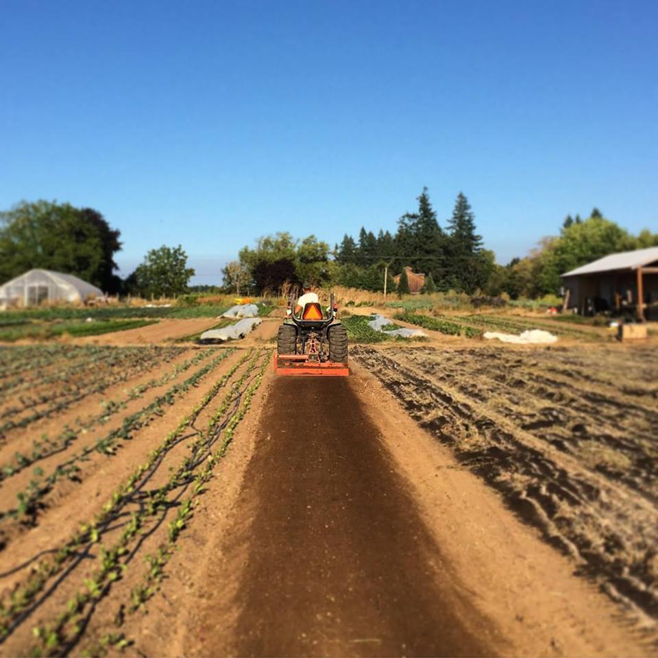 11885343_847857281965863_5472996240185711104_n