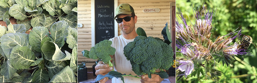 withsomeasbigasyourhead