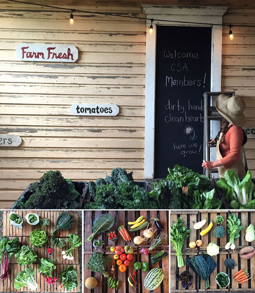 11057768_899376986813892_6468487014775088774_o