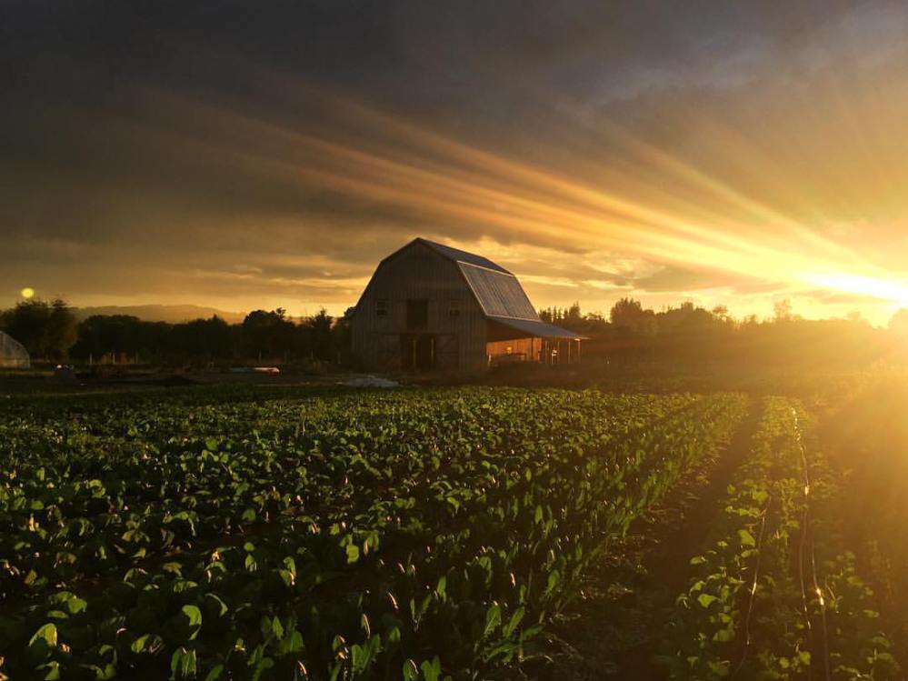 14241612_1065379190213670_5203402013241403820_o