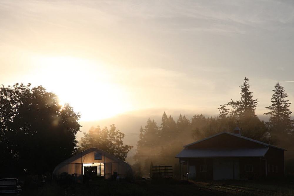 14305375_1069115223173400_2759630590010078355_o