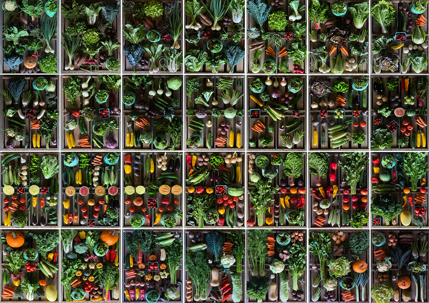 2020 CSA Shares Final Front